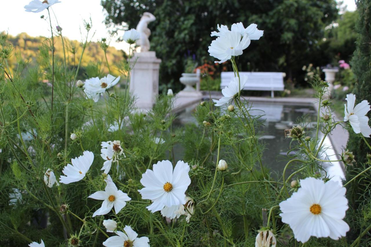 Chateau Du Grand Jardin Valensole Eksteriør billede