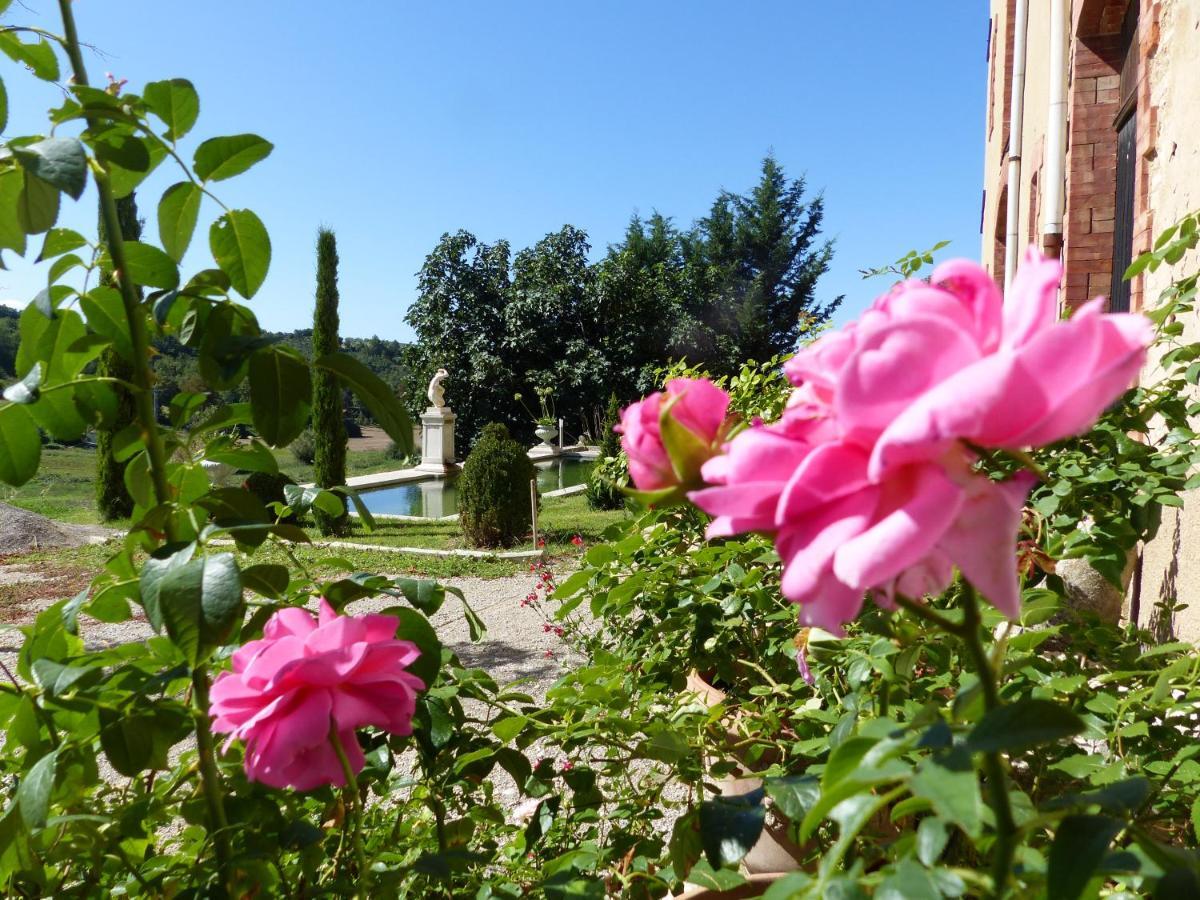 Chateau Du Grand Jardin Valensole Eksteriør billede